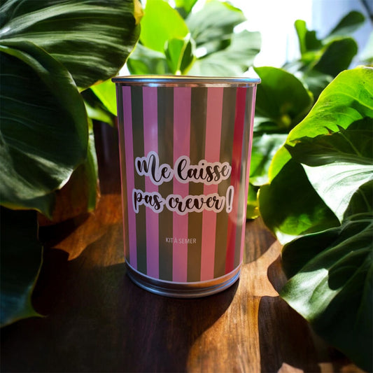 Kit graines à semer "Me laisse pas crever"