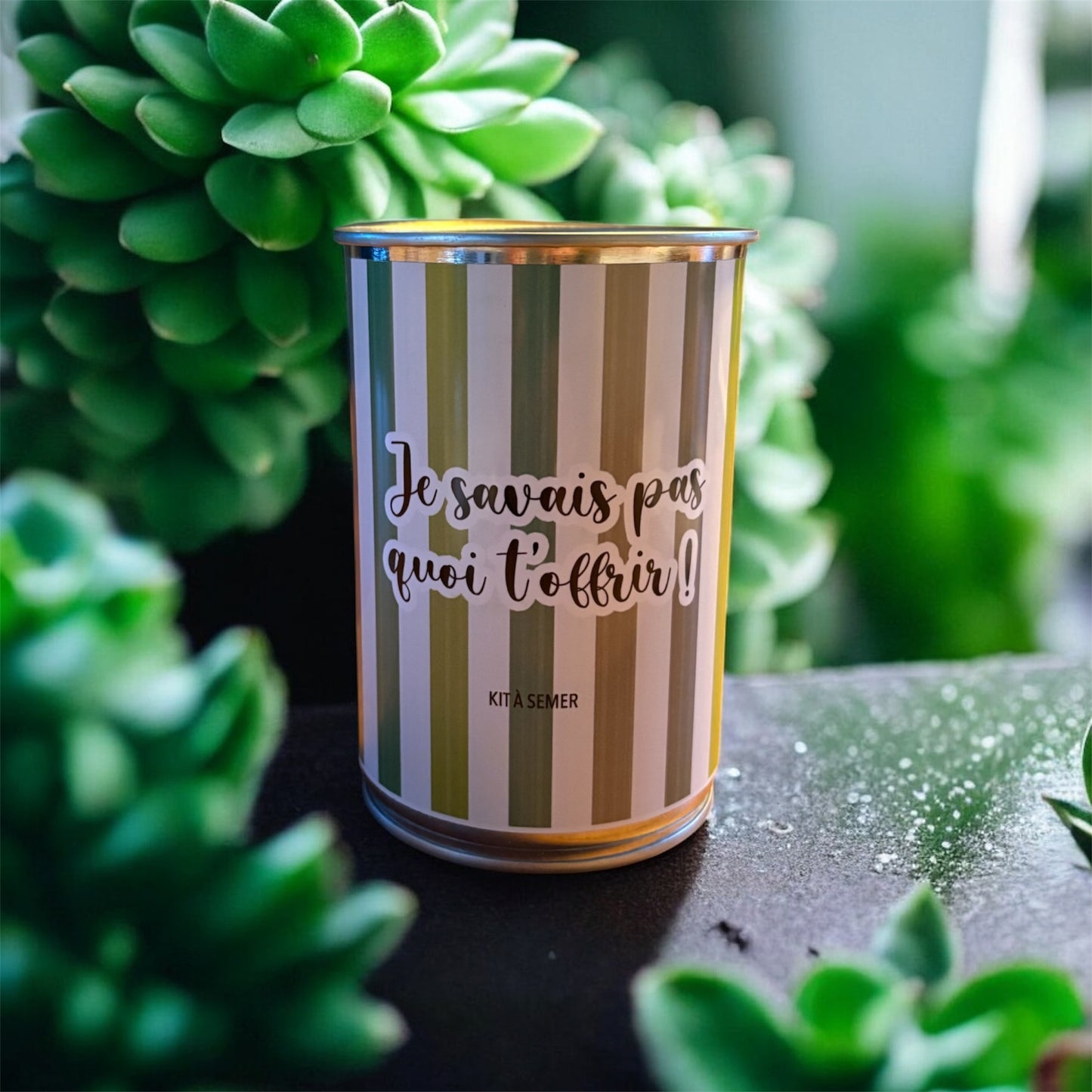 Kit graines à semer "Je savais pas quoi t'offrir"